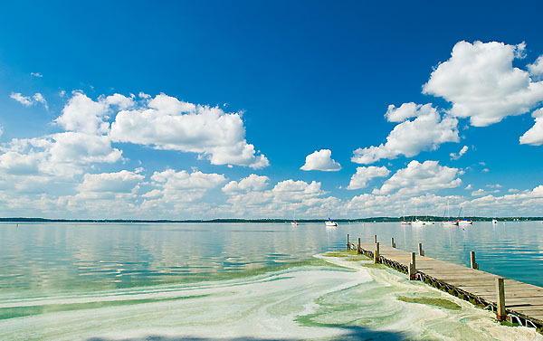 Photo: Lake Mendota algae