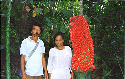 Photo of Sumatran villagers next to flower of Titan Arum