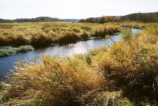 Agricultural buffer along Black Earth Creek